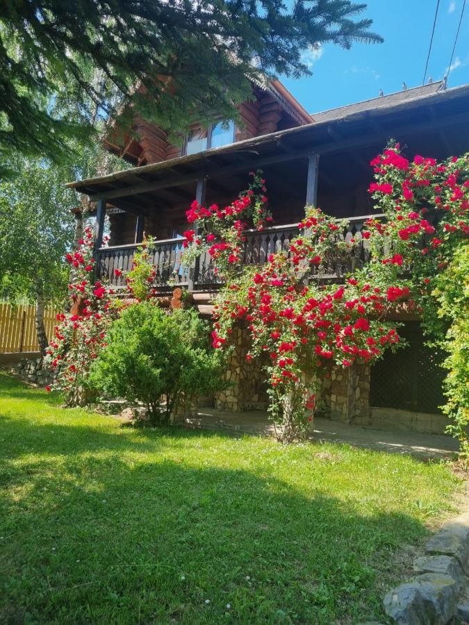 Cabana Haiducului Soveja Exterior foto